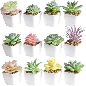 Artificial Faux Succulents in Pots Fake Plants Ceramic Arrangement Planter Mini